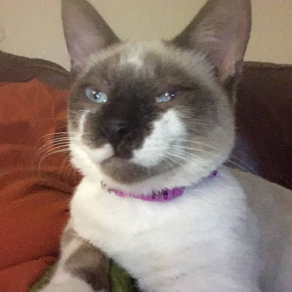 Meet your Posher, Deborah